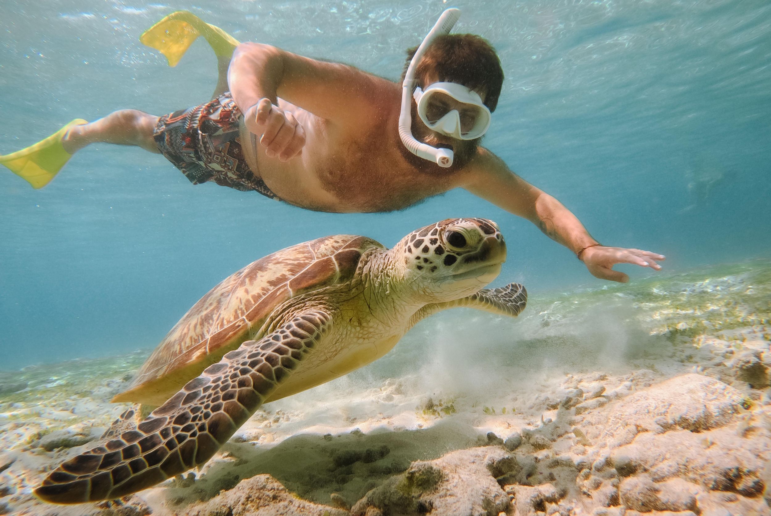 Von Bali: 2D1N Gili Island Privates Schnorchelboot mit Hotel