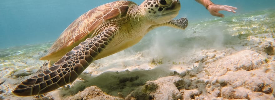 Au départ de Bali : 2D1N Gili Island Private Snorkel Boat with Hotel