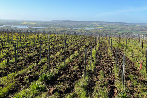 Epernay: Jeep tour of the vineyards with tasting and visits
