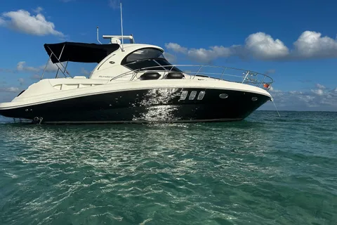 Luxury 4 Hour Private Boat Charter