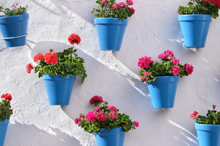 Cordoue : visite privée exclusive des patios de Cordoue