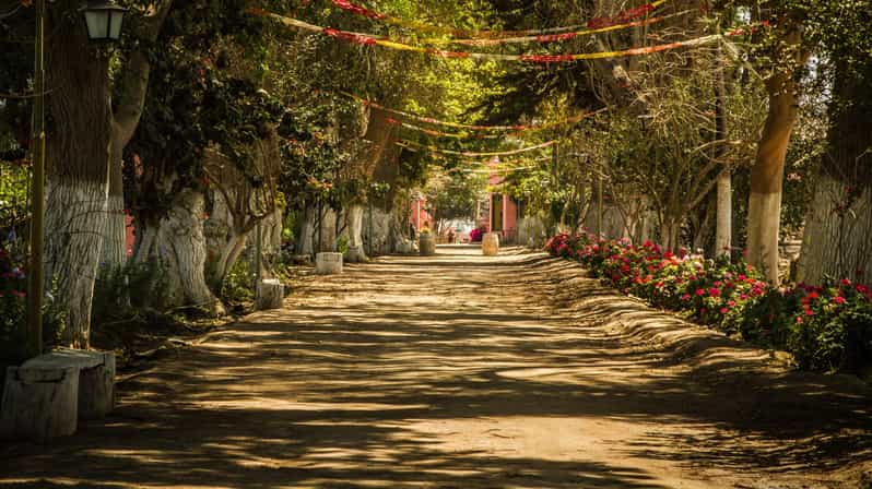 Ica : Route through the most important wineries | GetYourGuide