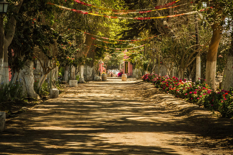 Visit to the Tacama winery + Wine and pisco tasting