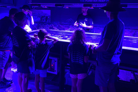 Port Douglas: Forever Reef Project Coral Biobank Guided Tour