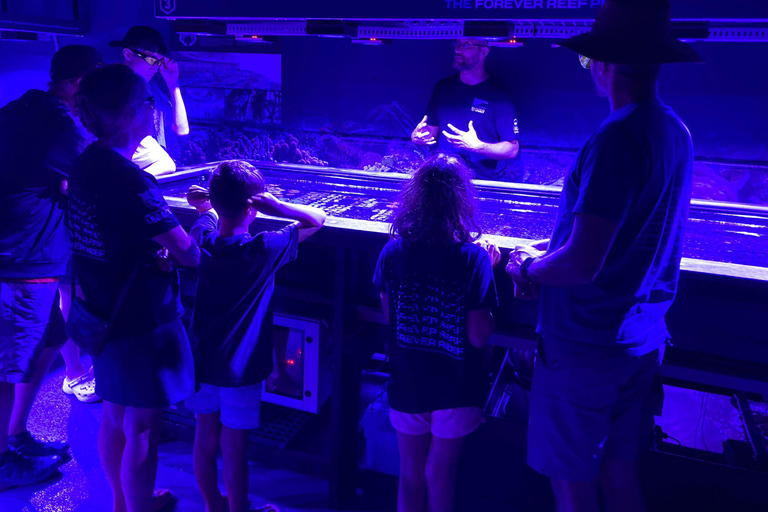 Port Douglas: Forever Reef Project Coral Biobank Guided Tour