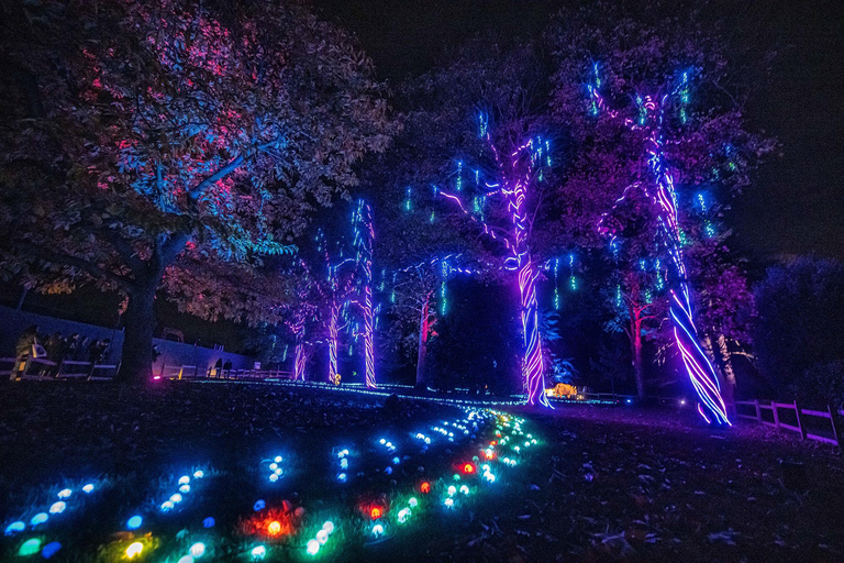 Chester Zoo: Lanterns and Light Entry