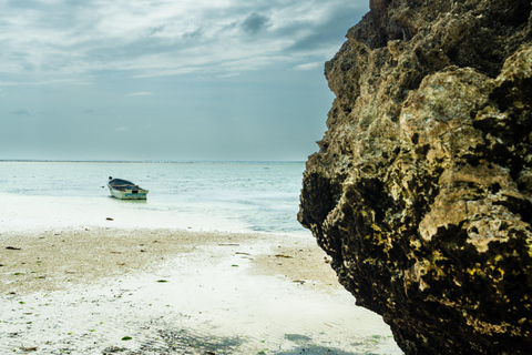 Secret Beach, Kuza-Höhle und Jozani-Wald mit Transfer