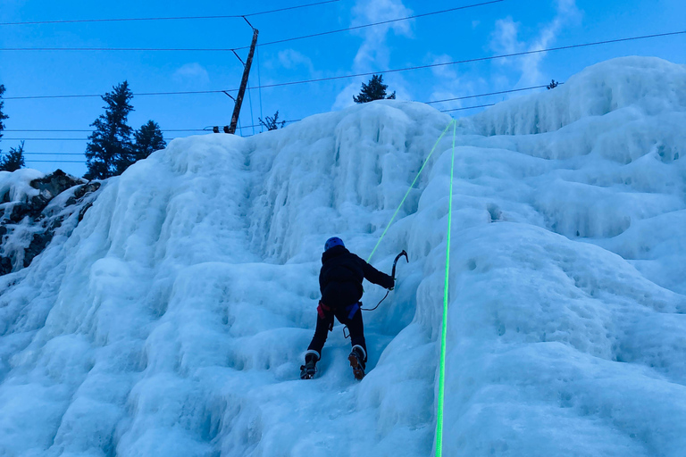 Winter Ice Climbing Experience from Seward