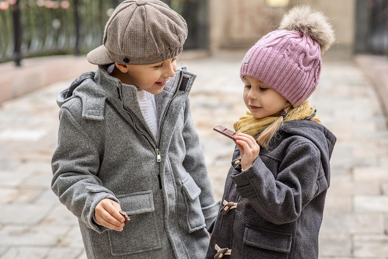 布鲁塞尔私人家庭之旅。亮点、品尝和博物馆布鲁塞尔：精华游、品尝美食和博物馆私人家庭游