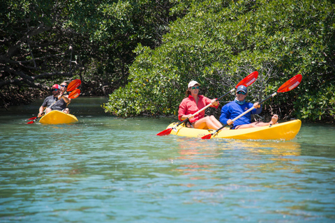 Key West: All Day Eco Tour - Kayak, snorkel and sail!