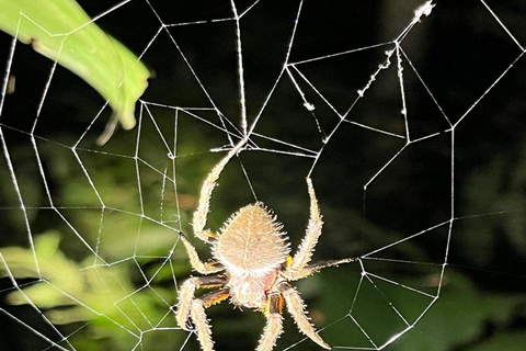 Manu National Park Tour