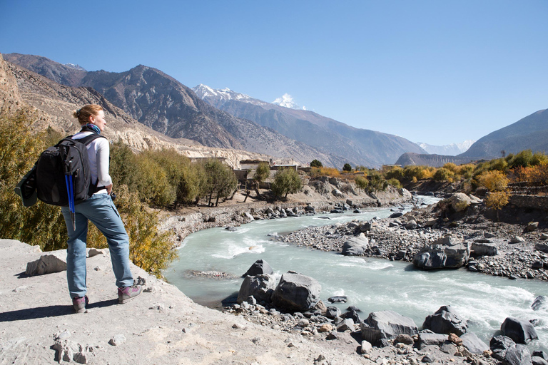 Marrakech : Private To Ourika Valley Atlas Mountains & Lunch Private Day Trip To Ourika Valley, Waterfalls With Lunch