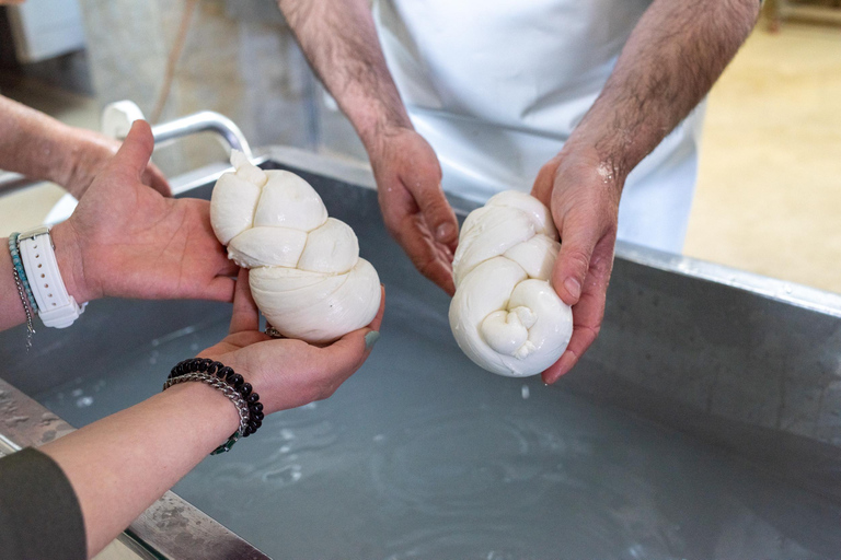 Naples: Mozzarella Experience, Taste of Southern Italy Naples: Mozzarella experience