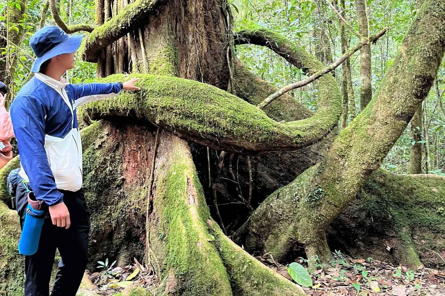 Da Lat Bidoup Nui Ba Jungle Trekking Tour With BBQ Camping