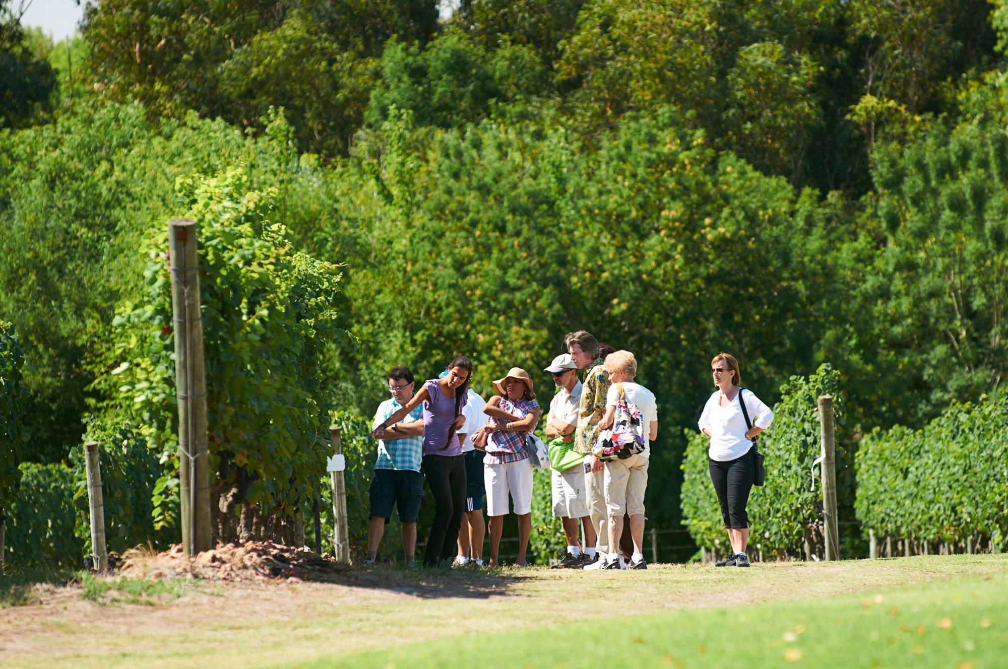 Besuch und Mittagessen auf dem Weingut Bouza