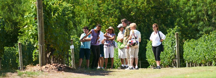 Visite et déjeuner au domaine viticole de Bouza