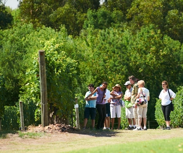 Visita e pranzo alla cantina Bouza