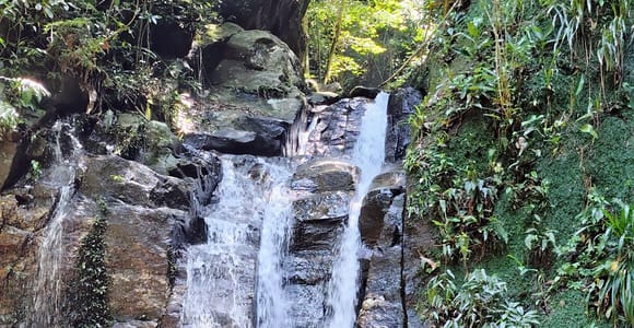 Rio de Janeiro: 6 Waterfalls Hike in Tijuca Rainforest