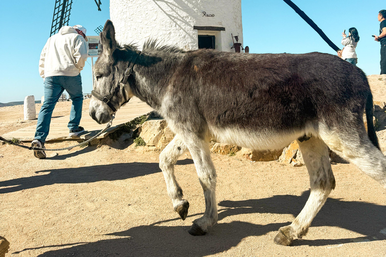 Madrid: Small Group Toledo & Consuegra Windmills Day Trip