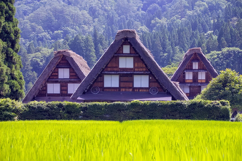 Nagoya:Shirakawa-go Gassho Village&Takayama Old Town Tour