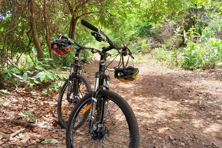 Luang Prabang: Guided Rice Field Bike Tour with Ferry Ride