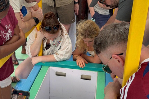 Tobago: tour in barca con fondo trasparente al Buccoo Reef Marine ParkTobago: tour in barca con fondo trasparente + Rumpunch