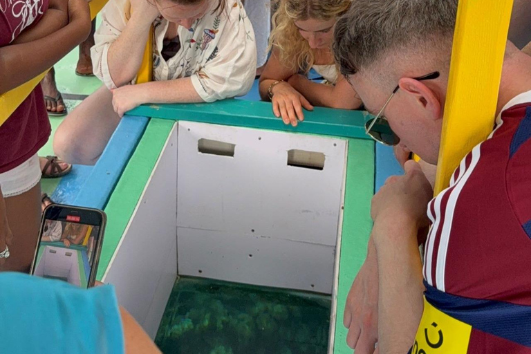 Tobago: tour in barca con fondo trasparente al Buccoo Reef Marine ParkTobago: tour in barca con fondo trasparente + Rumpunch