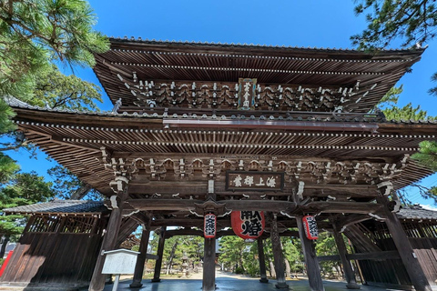 Osaka/Kyoto: Amanohashidate & Ine Funaya & Ine Bay Day Tour Excludes Cable Car & Cruise: 8:00AM Osaka