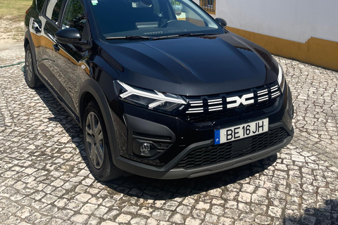 Lisbon City Tour HALF DAY 4h - VAN