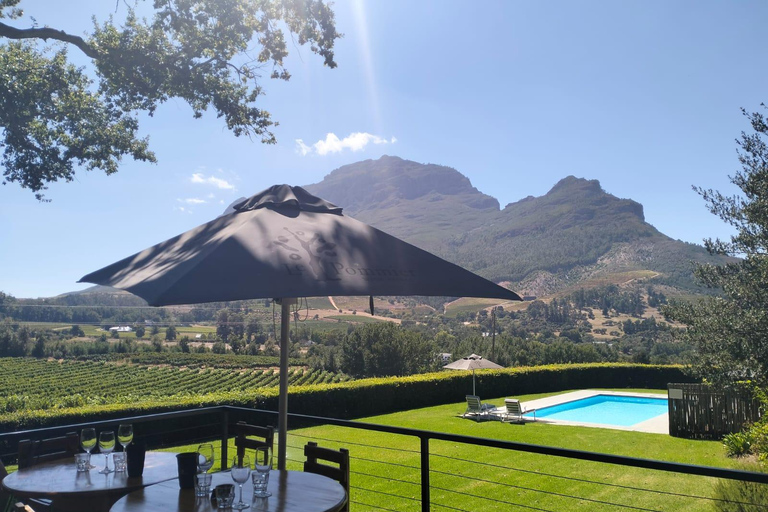 Le Cap : dégustation exclusive de vin Pinotage (visite privée)