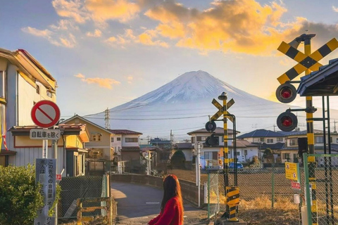 Tokyo: Mount Fuji And Hakone Private Tour Full Customizable