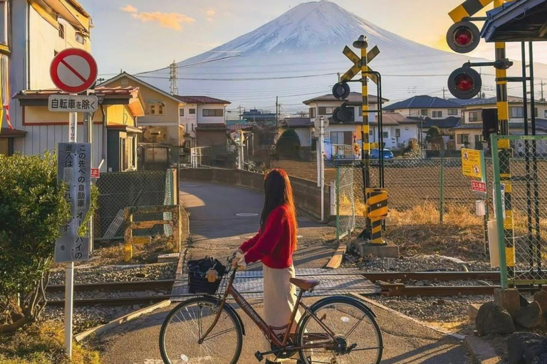 Tokyo: Mount Fuji And Hakone Private Tour Full Customizable
