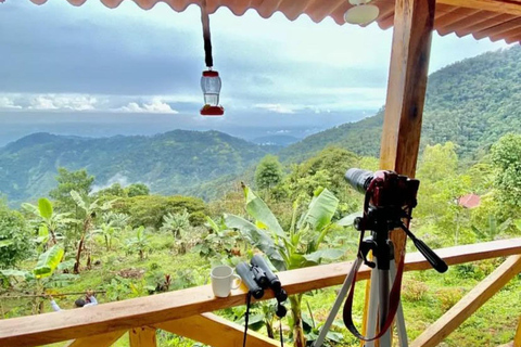 Minca: 2-day tour to Cerro Kennedy with waterfall and night in the mountains