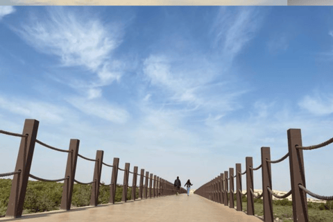 From Doha: Private Al Jassasiya, Zubarah & Purple Island. Private Tour