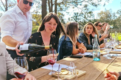 Geneva: Swiss Organic Wine Tasting with Swiss Cheese pairing