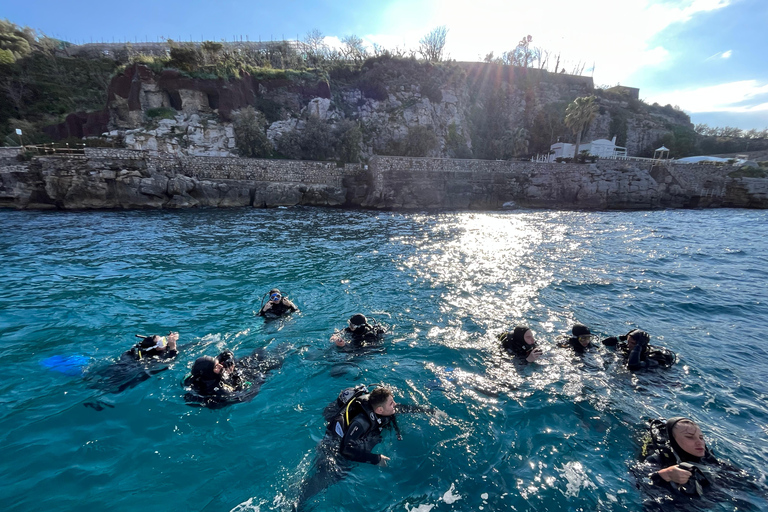 Sorrento: Schnorchel-Tour am Morgen mit einem Meeresbiologen.