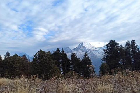 Da Pokhara: Trekking Muldai View di 5 giorni con alloggio