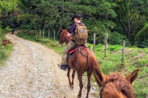 Medellin: Rondleiding te paard in de natuur