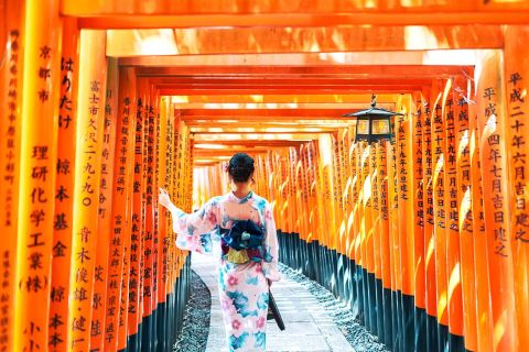 Kyoto/Osaka : Excursion d'une journée à Kyoto et Nara, sites UNESCO et histoire
