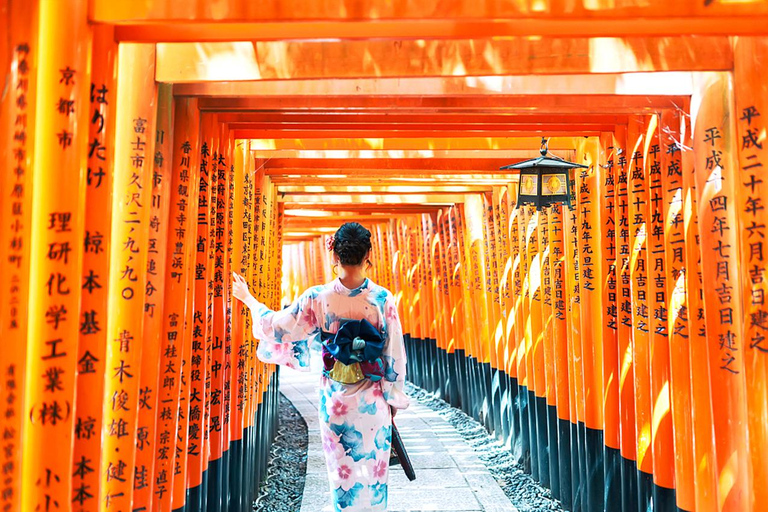 Kyoto/Osaka: Viagem de 1 dia a Kyoto e Nara, locais e história da UNESCO