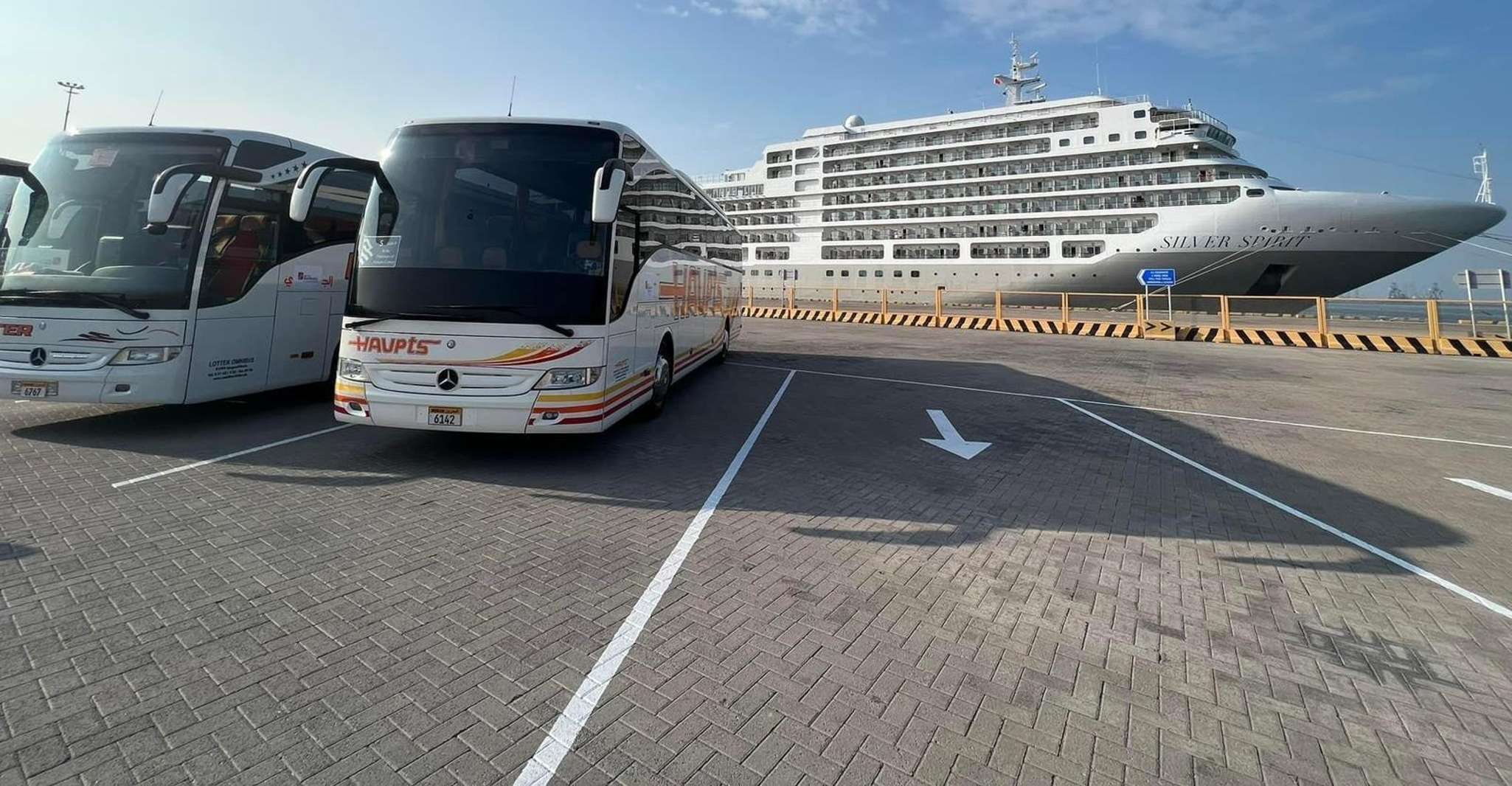 Around Bahrain For AIDAprima Tourists Shared Tour 5H photo 4