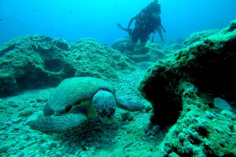 Zakynthos: Scuba Diving Experience with Underwater Photos Double dive discover scuba diving course