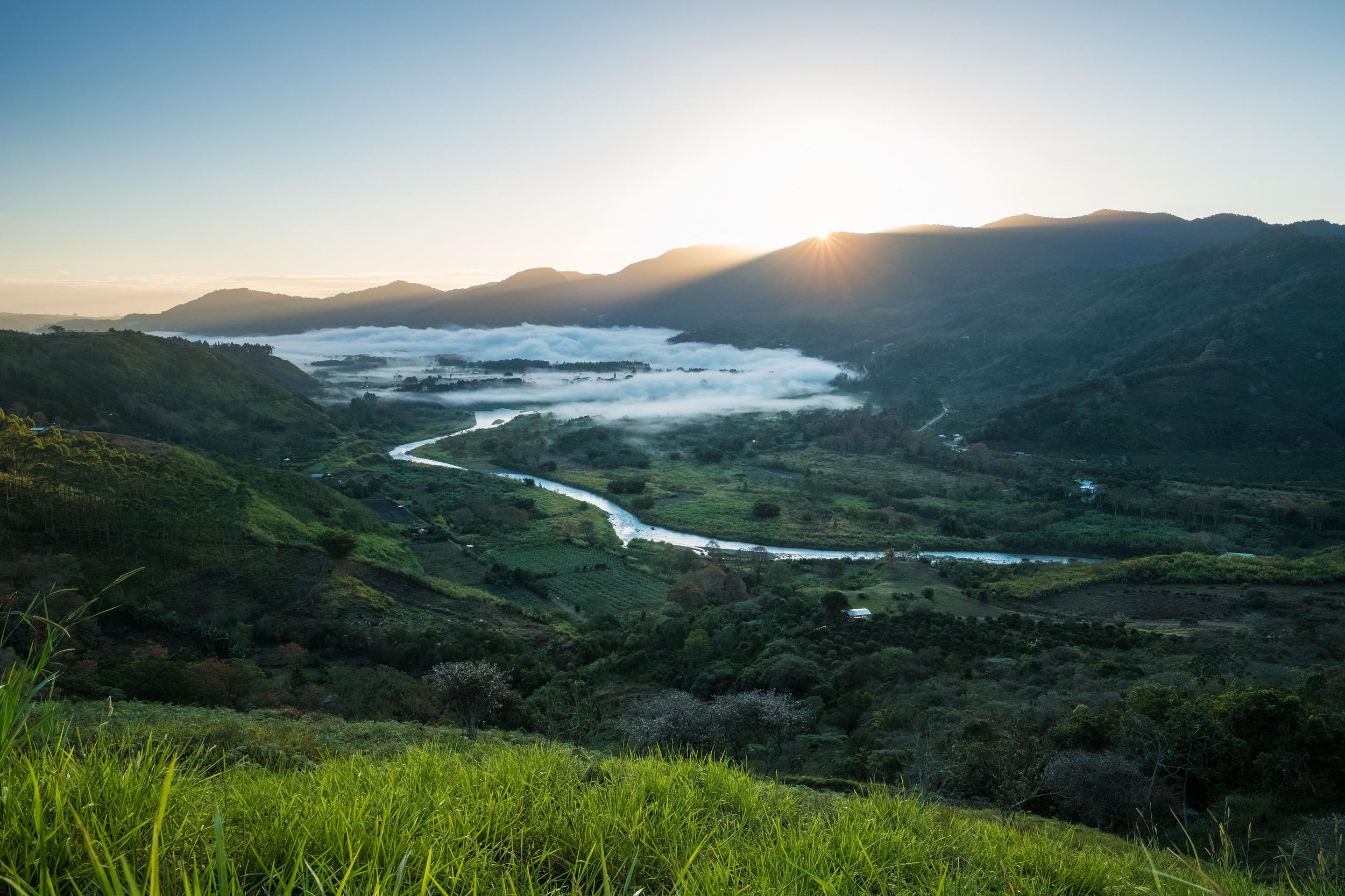 Von San Jose aus: Orosi Tal & Lankester Garten Tagestour