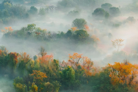 Hangzhou’s Urban Oasis: Poetic Xixi Wetland Half-Day Tour