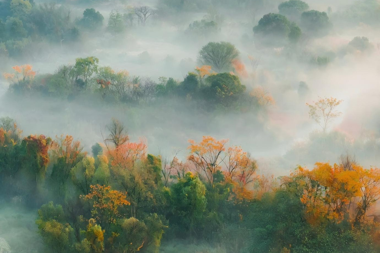 Hangzhou’s Urban Oasis: Poetic Xixi Wetland Half-Day Tour