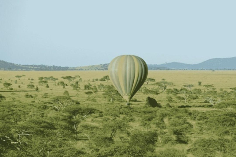 Arusha: 5-Day Big Time Mid-Range Safari