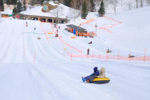 Sapporo: Lake Shikotsu Ice Festival, Snow Fun & Buddha Tour Shared Tour, Meet at Sapporo Station
