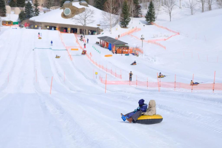 Sapporo: Lake Shikotsu Ice Festival, Snow Fun & Buddha Tour Shared Tour, Meet at Sapporo Station
