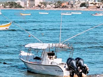 Marlin fishing in guayabitos
