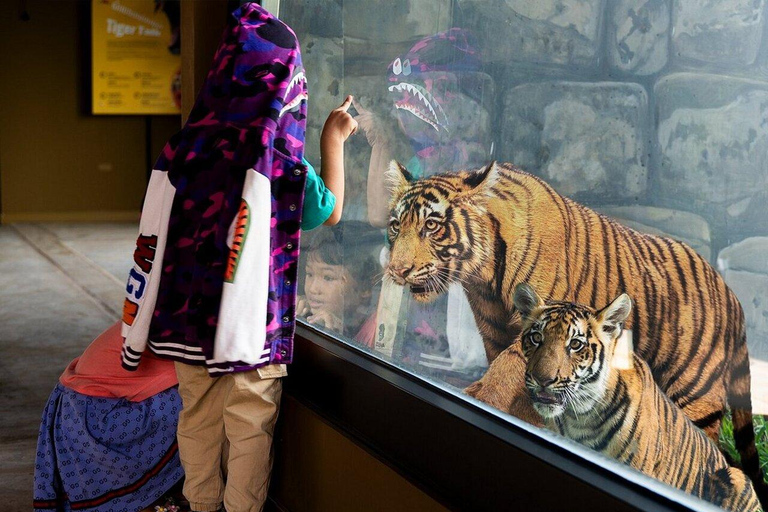 Angkor Wildlife & Aquarium Private Round-Trip Transfer Private Round-Trip Transfer by Tuk Tuk